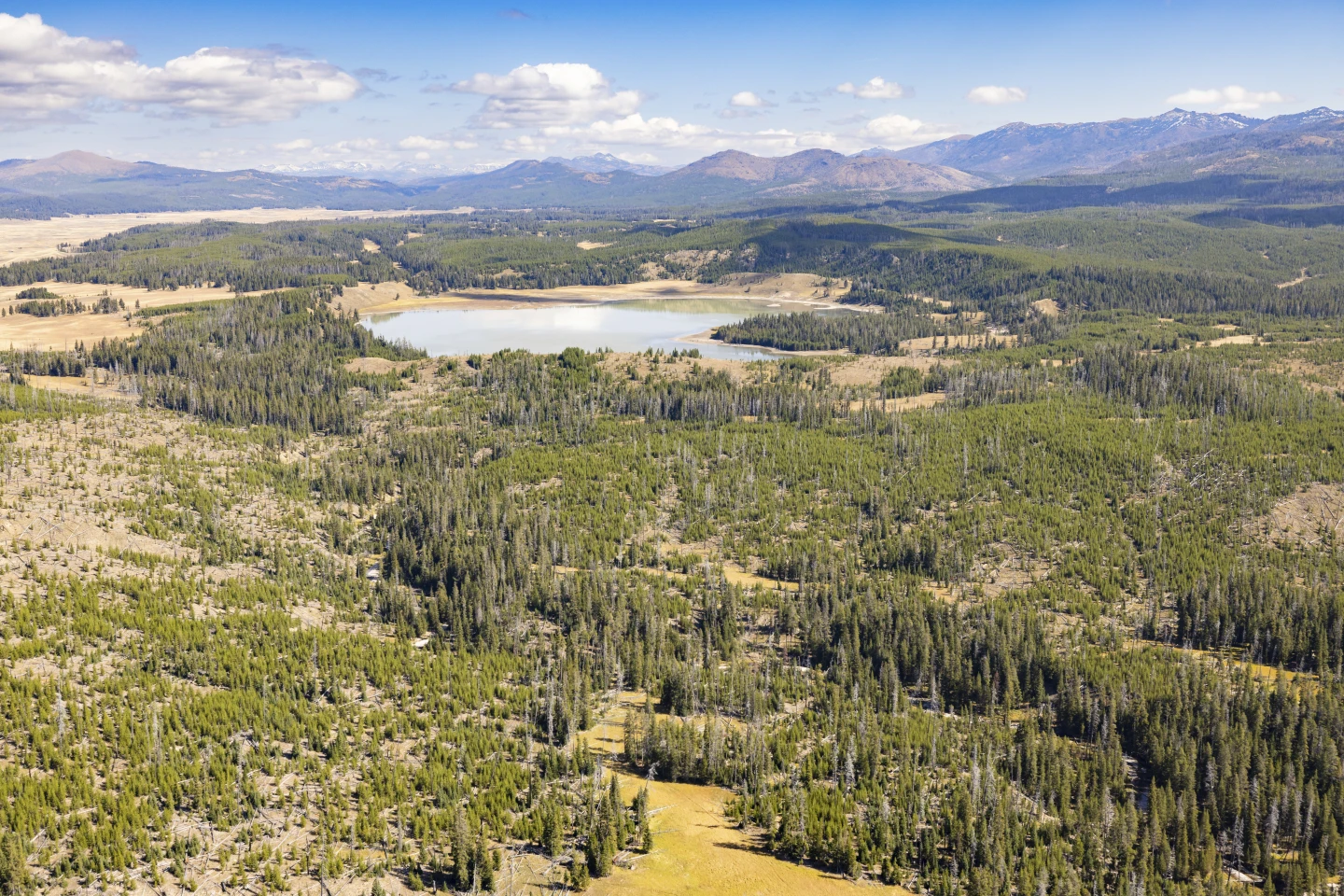 Urgent Call to Safeguard National Parks Amid Shutdown Threat