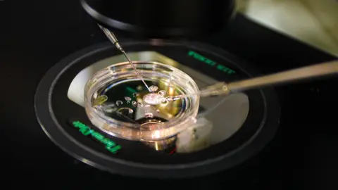 Groundbreaking Advances: Scientists Create Human Embryos from Skin DNA