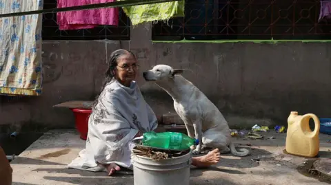 Telangana Investigates Mass Stray Dog Killings Amid Outcry