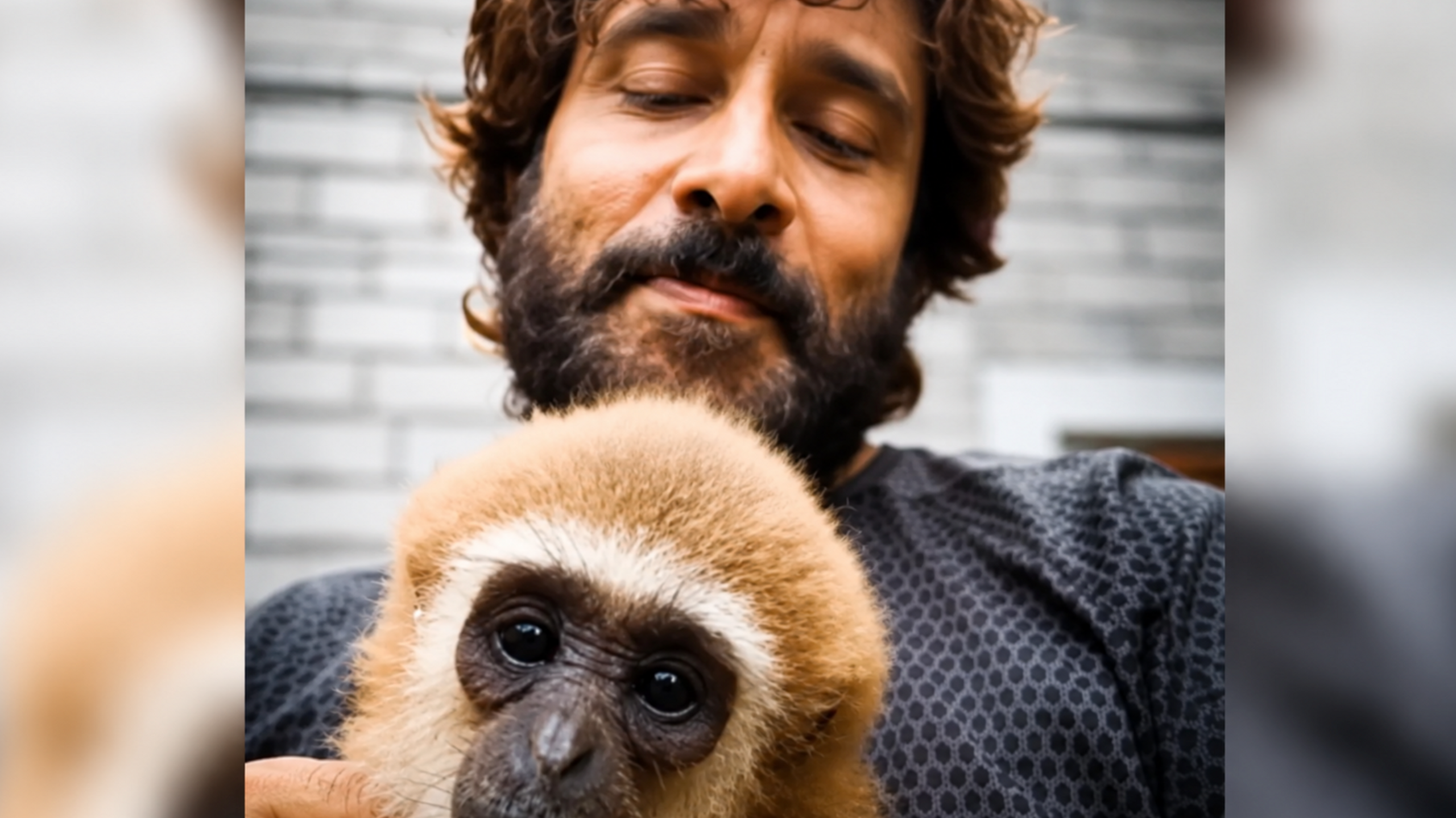 Indian Actor’s Gibbon Video Triggers Wildlife Investigation