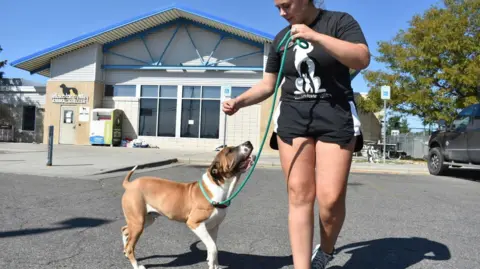 FBI Drug Disposal at Animal Shelter Results in Hospitalization of Staff
