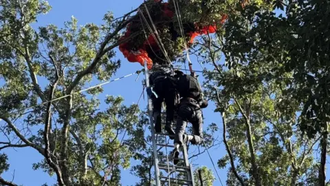 Tragic Skydiving Incident in Nashville Claims Instructor's Life