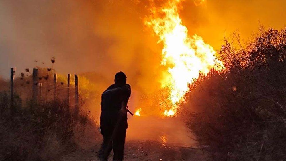 Algerian President Calls for Death Penalty as Climate‑Driven Wildfires Claim Lives