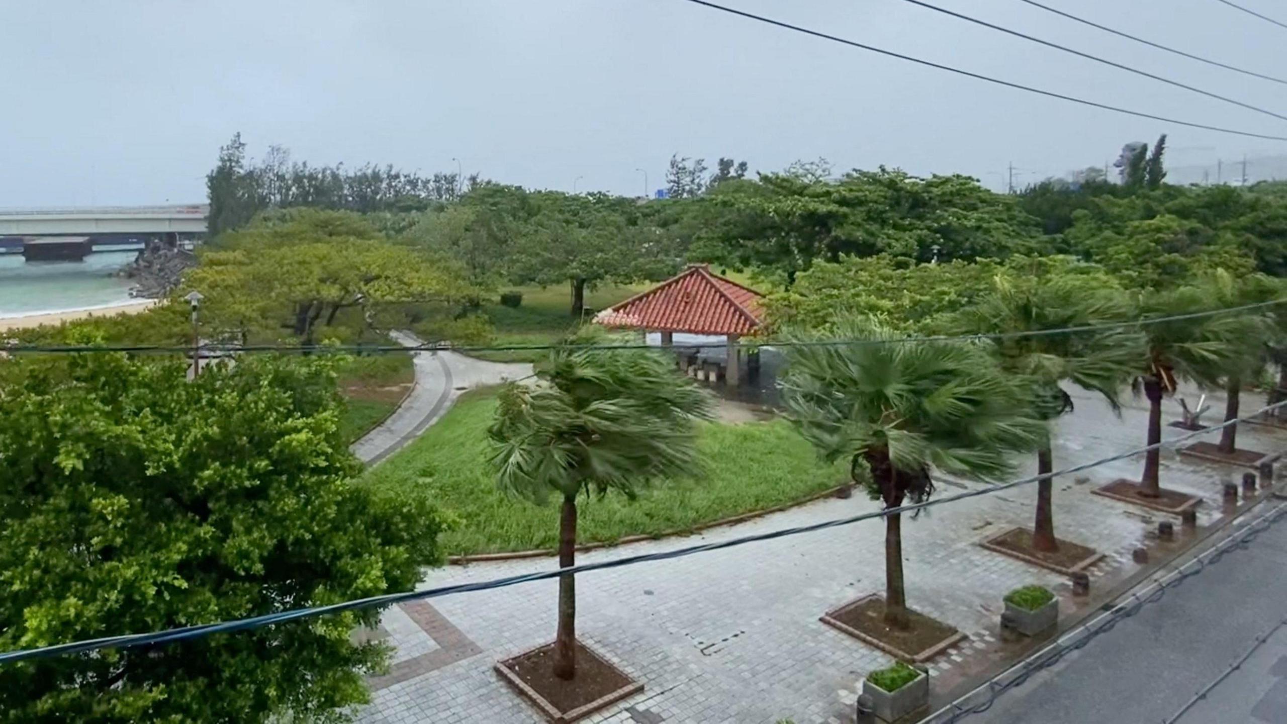 Typhoon Dolphin Sweeps Okinawa, Targets China’s Eastern Coast