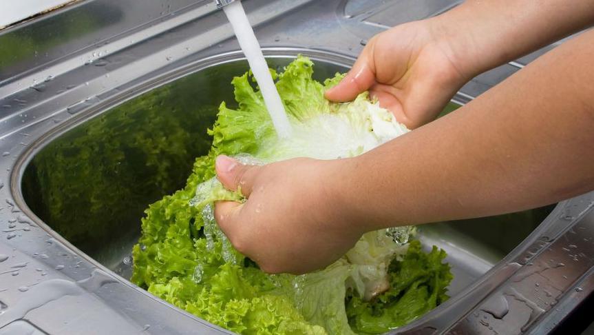 Cyclospora outbreak claims first deaths in Michigan, sparking food‑safety alarm