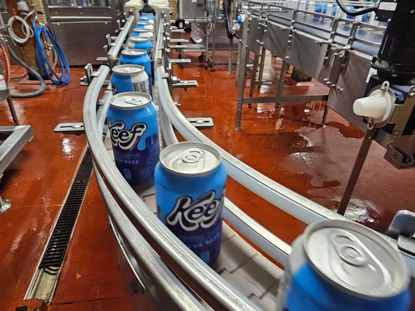 Craft Breweries in Crisis Over Looming Ban on THC-Infused Drinks