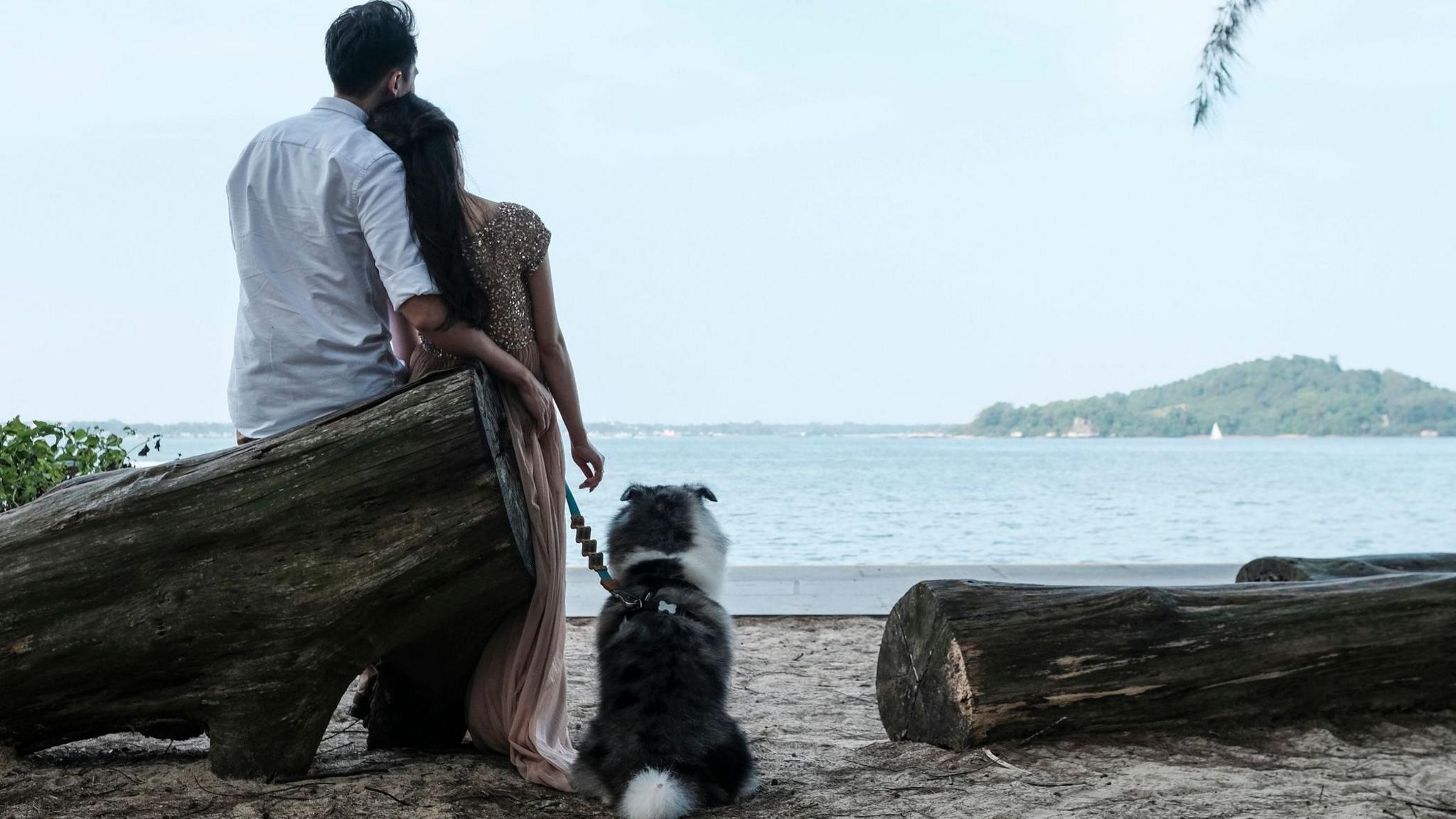 Tech‑Mediated Marriage: Singapore’s FirstDate Aims to Boost Fertility and Secure a Sustainable Population Future