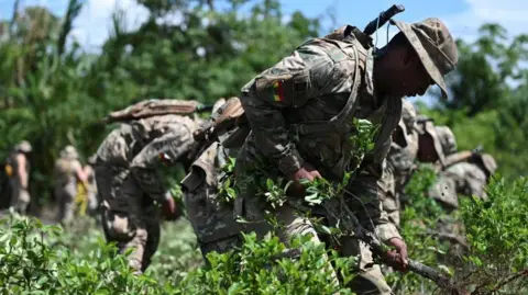 Bolivia and U.S. forge $20m partnership to curb coca smuggling – a climate‑friendly frontier