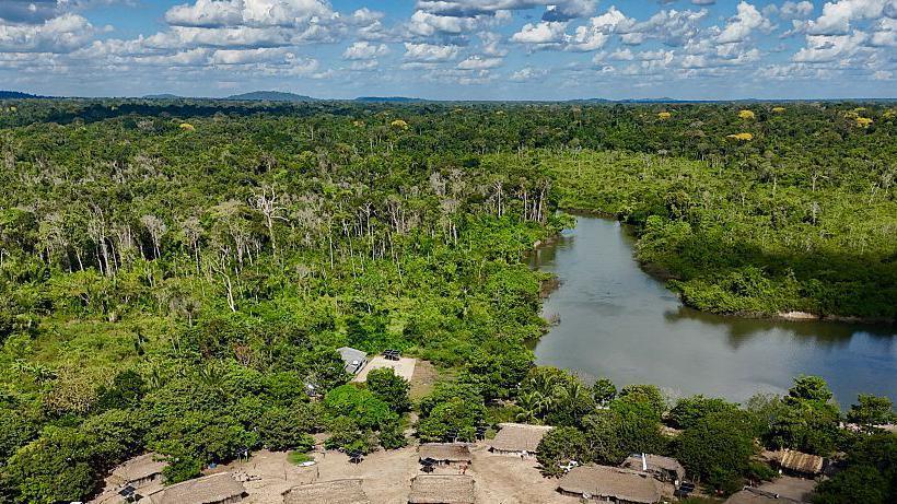 Amazon Fires Shrink: 3.1 M ha BURNED in 2025 vs 15.8 M ha in 2024
