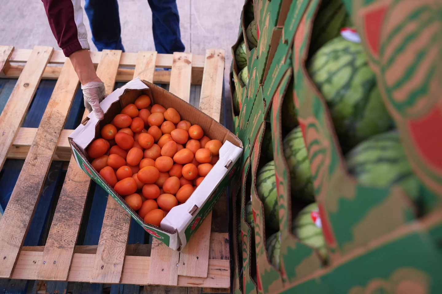 Reducing SNAP Benefits: How Funding Cuts Impact Food Security Amid Crisis