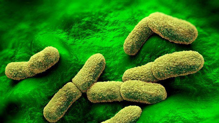 US Eyes Plague Lab Incident in Russia as Climate‑Driven Zoonoses Rise
