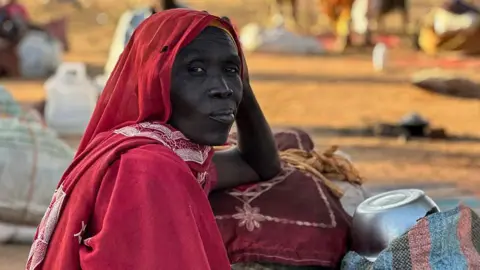 Sudan's El-Fasher Violence: Echoes of Genocide Resurface Amid Civil War