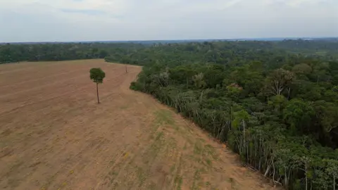 Overturning Protection Efforts Puts Brazil's Amazon at Risk