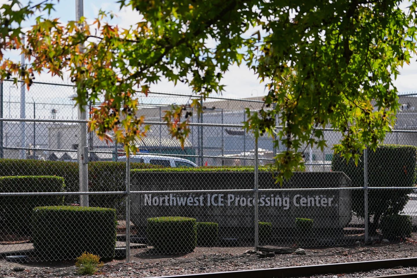 The Cost of Deportation: A Family's Heartbreaking Separation