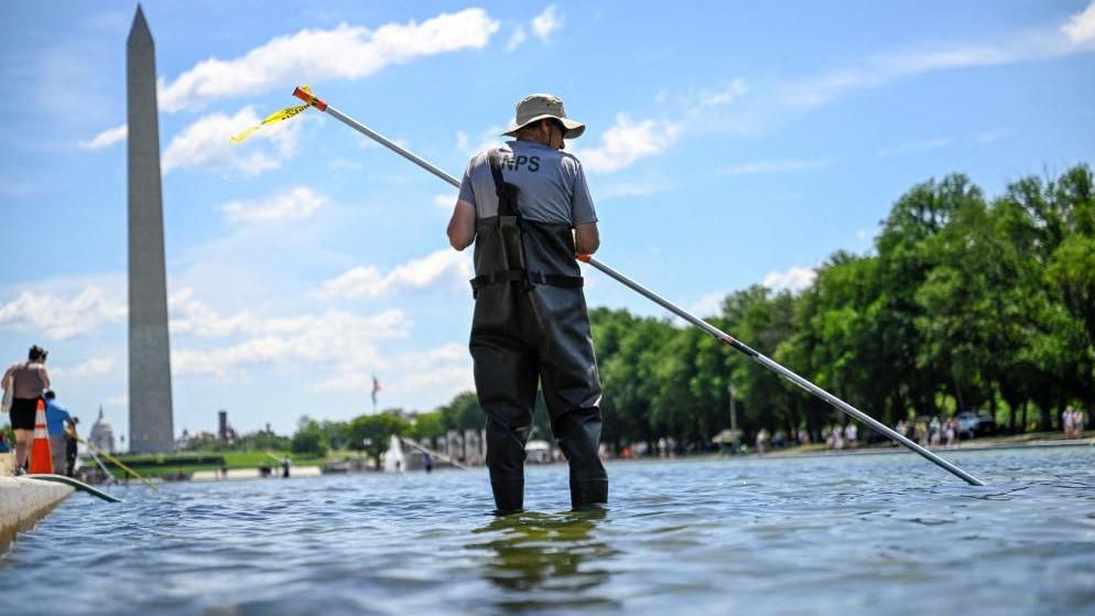 Algae Resurgence in Washington’s Reflecting Pool Highlights Need for Eco‑Friendly Water Management