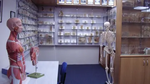 Tasmanian Government Issues Apology for Historical Body Parts Scandal