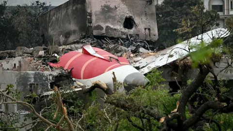 Families of Air India Crash Victims File Suit Against Boeing and Honeywell