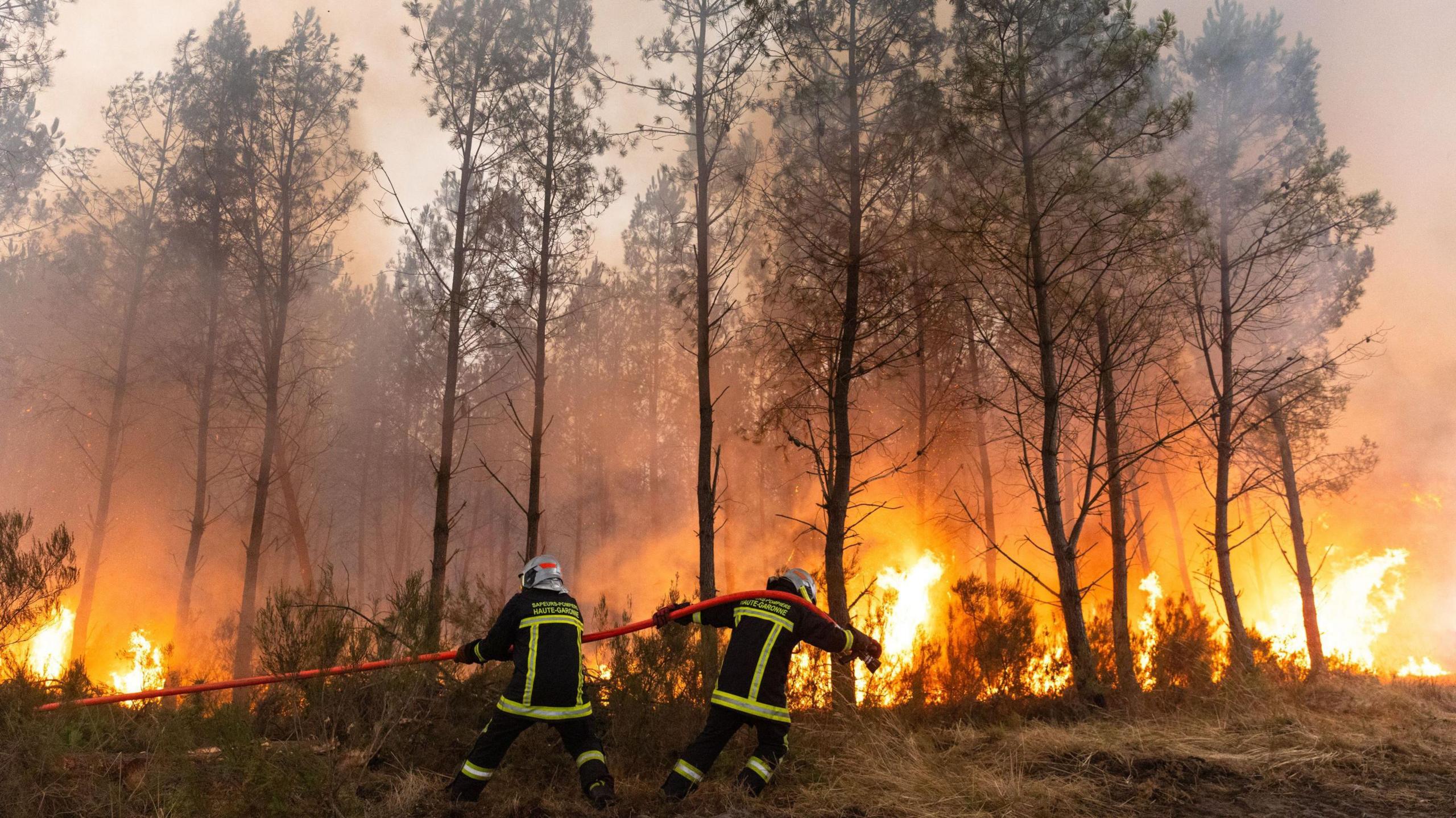 Wildfire Witnesses Describe 'Wall of Flames' and the Human Toll of Europe's Burning Landscapes