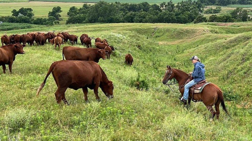Yvette Mannon on her ranch