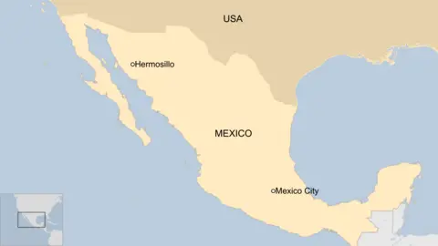 Tragic Fire at Discount Store in Hermosillo, Mexico Claims 23 Lives