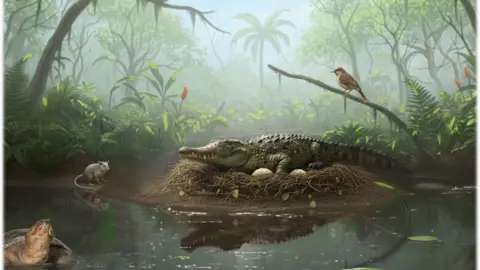 Discovery of Ancient 'Drop Crocs' Eggs in Australia Reveals Tree-Climbing Predators