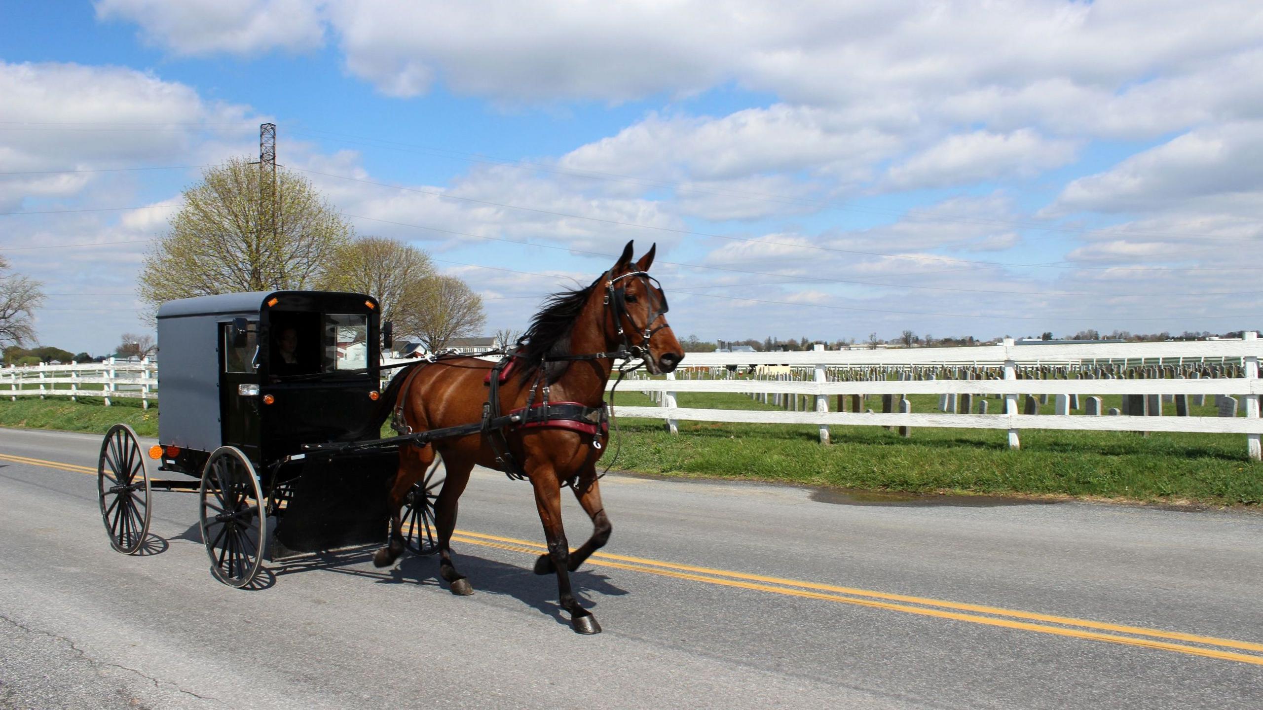 Door‑to‑door Nurses Tackle Measles in Amish Pennsylvania