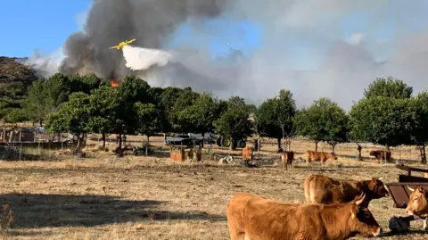 Spain Faces Devastating Impact of Summer Wildfires