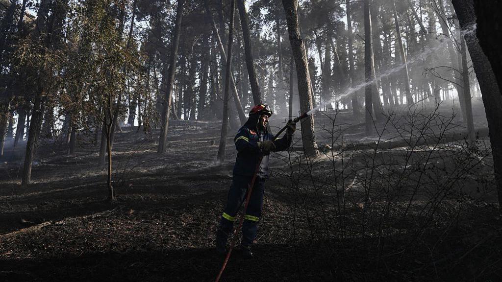 Greek Wildfire Tragedy Highlights Climate‑Driven Fire Risks