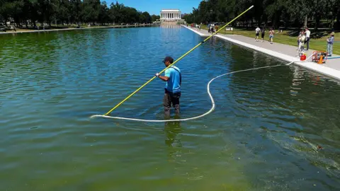 Former Olympian’s Arrest Highlights Renewed Battle Against Algae‑Inflicted Reflecting Pool