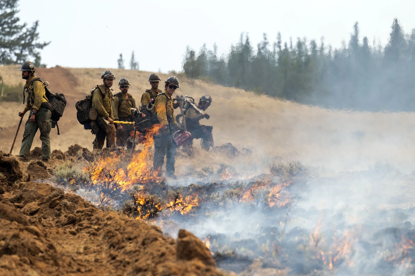 Detained Oregon Firefighter's Legal Battle Amid Wildfire Response