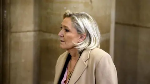 Marine Le Pen's Political Future Hangs in the Balance as High-Stakes Appeal Begins