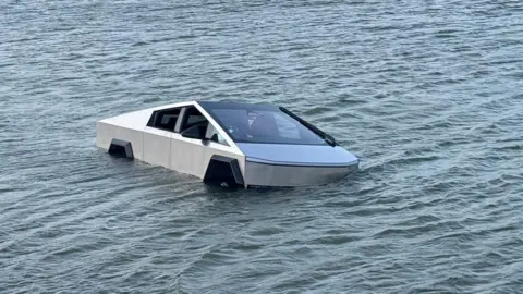 Tesla Driver Arrested After Testing 'Wade Mode' in Lake