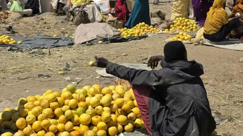 Fertile Jebel Marra: Fruits Rotting Amid Sudan's Famine and Conflict
