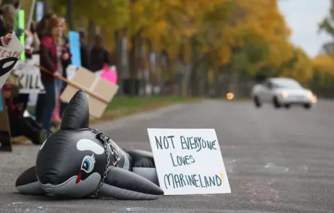 Urgent Call to Rescue: Belugas at Risk of Euthanasia in Marineland
