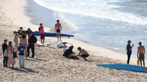 Sydney Beach Shark Attack Leaves Woman Seriously Injured