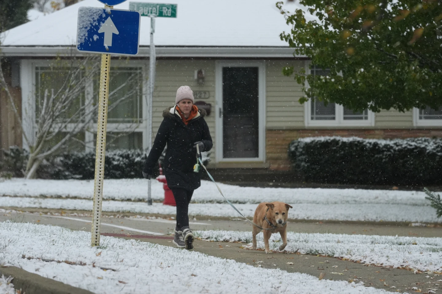 Cold Snap Hits Multiple Regions as Winter Weather Prevails