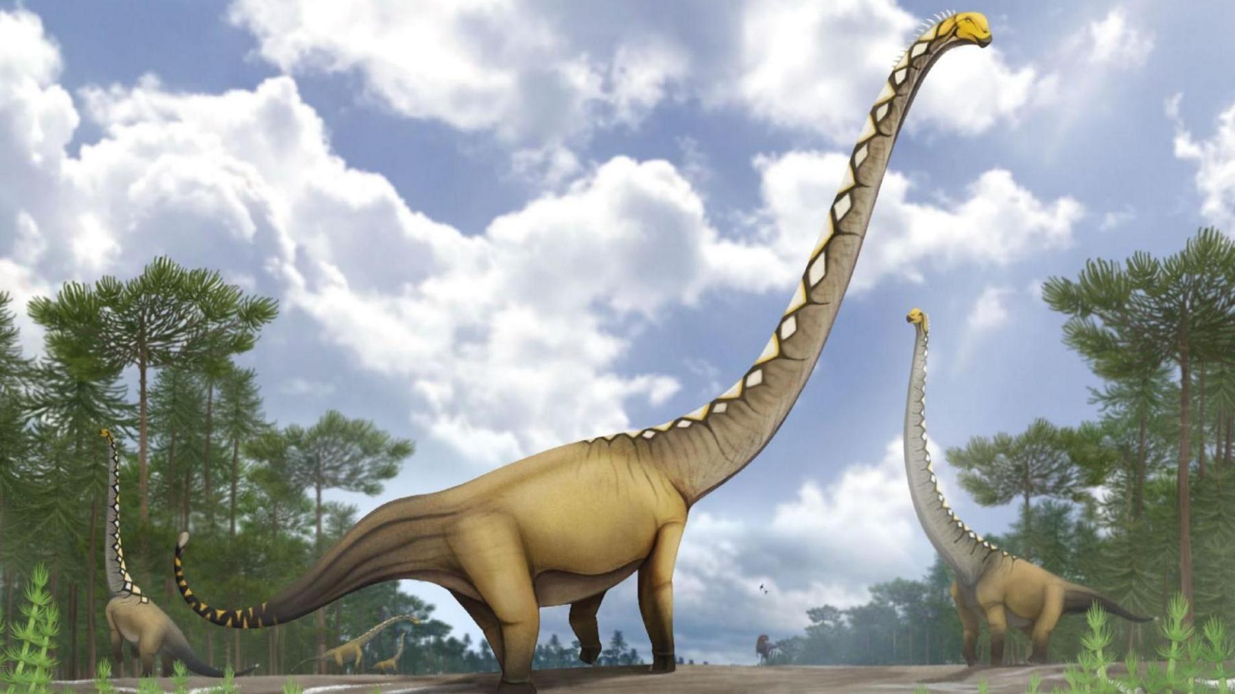 Thailand Unveils 20‑Metre Long‑Necked Dinosaur Uragasaurus
