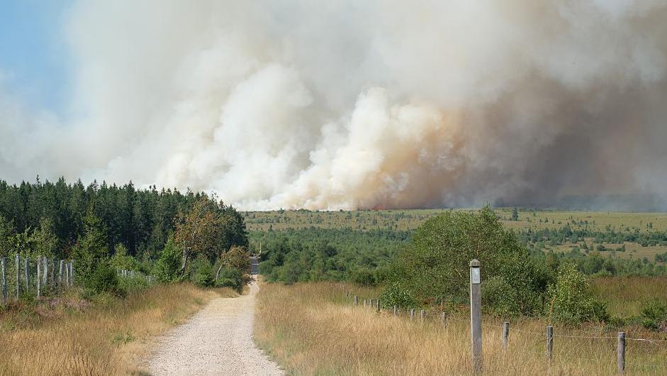 Wildfire rages through Belgium’s High Fens, prompting mass evacuations
