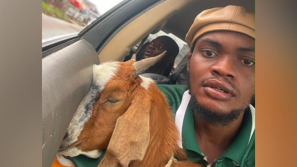 A Goat’s Graduation Gift Sparks Viral Celebration and Highlights Sustainable Livestock Practices