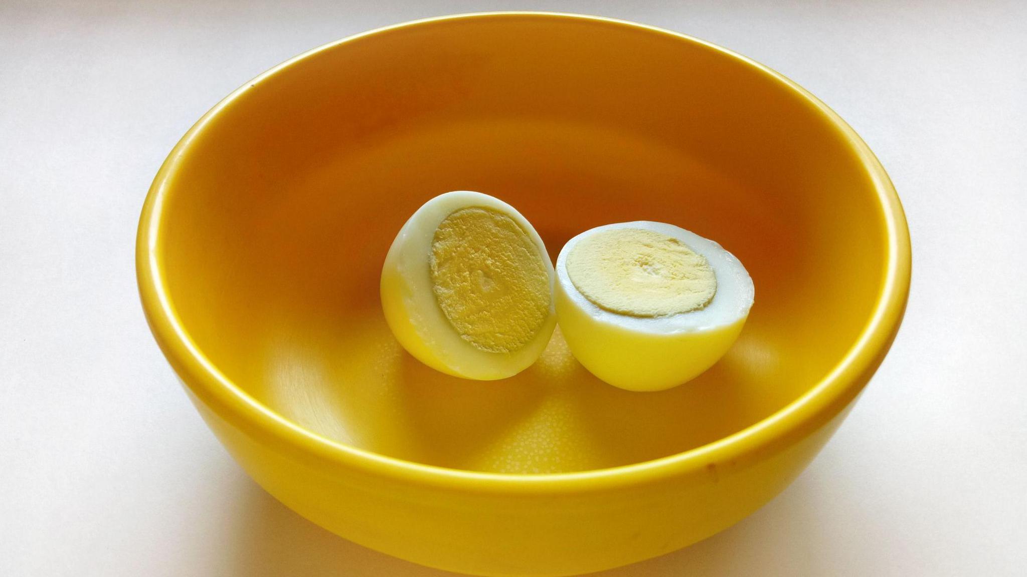 West Bengal pilots vegetarian meals in schools, sparking egg debate