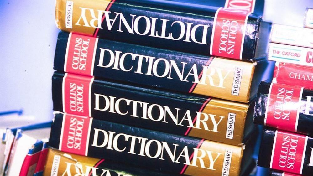 Pile of dictionaries symbolising the word of the year