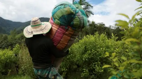 US Labels Colombia as Major Drug Trafficking Failures: Implications for Aid and Relations